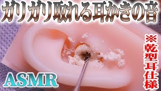 【ASMR】ゴッソリ取れるリアルなガリガリ耳かき♡“乾型耳仕様”ステンレス耳かきで深く鼓膜まで耳掃除の音♪両耳同時【音好き】DIYのシリコン疑似耳バイノーラルマイクを使用（左右回転あり〼） [upl. by Eerak]