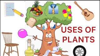 PLANTS OUR GREEN FRIENDS USES OF PLANTS  EVS Class 1NCERT [upl. by Isiahi212]