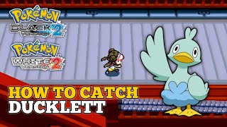 How To Catch Ducklett In Pokemon Black 2 and White 2  Ducklett Location [upl. by Ahsineb]