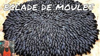 éclade de moules [upl. by Pickar]