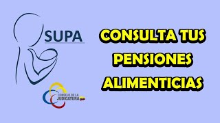 Consulta tus Pensiones Alimenticias – SUPA [upl. by Zitah811]