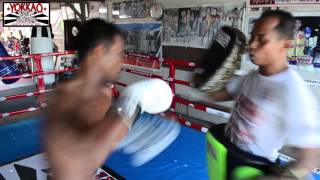 YOKKAO Muay Thai Customized Boxing Gloves for Singdam Kiatmoo9 [upl. by Ahterahs]