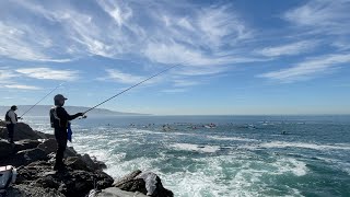 Peaceful Redondo Beach Breakwater Fishing [upl. by Leahcimnaj]