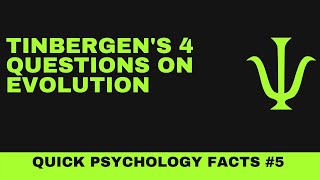 Tinbergen’s 4 questions on Evolution [upl. by Hephzipah]