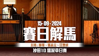 《香港馬評》直播 ｜ 賽日解馬 ｜ 沙田 10 場泥草地日馬賽事｜20240915 ｜ 主持：排哥、張志立、江譽求 [upl. by Inaleon915]