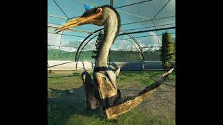 Quetzalcoatlus Northropi Sounds Part 2 JWD [upl. by Capp733]