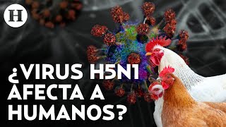 Virus de la gripe aviar H5N1 cobra la vida de una niña ¿se avecina una nueva pandemia [upl. by Virgil]