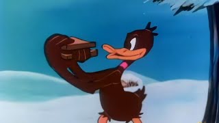 LOONEY TUNES DAFFY DUCK  Daffys Southern Exposure 1942 Remastered HD 1080p  Uncut Version [upl. by Gershom]