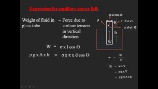 Capillarity [upl. by Dedra693]