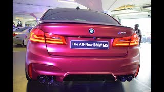 FIRST EVER BMW M Festival In South Africa Highlights [upl. by Yattirb]