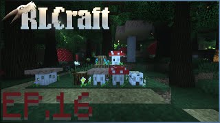 RLCraft in 2024 EPISODE 16 [upl. by Bridges]