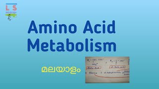 Amino Acid Metabolism  Protein  Biochemistry  Malayalam [upl. by Raveaux]