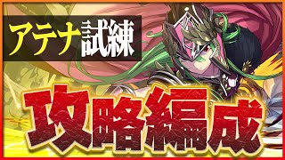 【試練ダンジョン】アテナ試練進化用編成！編成難易度控えめに攻略！【パズドラ】 [upl. by Ash]