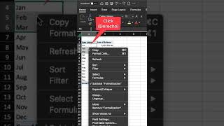 Como agrupar trimestres en tus tablas dinámicas en Excel desde nuestro equipo Mac [upl. by Viguerie79]