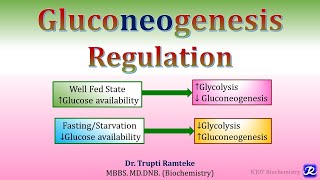 16 Gluconeogenesis Regulation  Carbohydrates metabolism  Biochemistry NJOY Biochemistry [upl. by Boatwright]