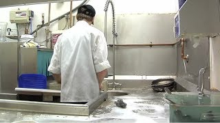 Dishwasher Career Video [upl. by Peri]