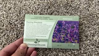 Outsidepride 5000 Seeds Perennial True Lavender  Product Review [upl. by Tilford]