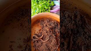 Earthworms farmersfriend vermicompost wormcastings wormcomposting earthworm earthworms soil [upl. by Bromleigh]