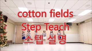 cotton fields line dance  스텝설명 Step Description [upl. by Ahsirt]