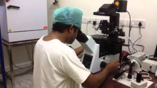 Latest ICSI machine narishige IX 73  Advanced ICSI Treatment India [upl. by Sirroned]