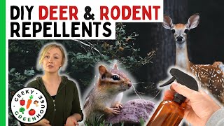 Deterring Rodents and Deer in the Garden Naturally  Geeky Greenhouse [upl. by Arreik]