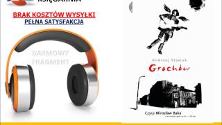 GROCHÓW  Andrzej Stasiuk  AudioBook do słuchania w podróży MP3 [upl. by Nessa]