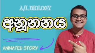 MITOSIS  අනූනනය  AL BIOLOGY  SL BIO SEEKER [upl. by Yroger51]