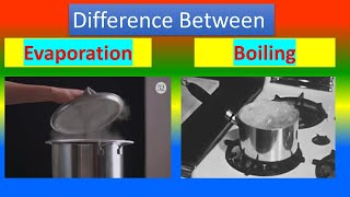 Difference between Evaporation and Boiling [upl. by Joab669]