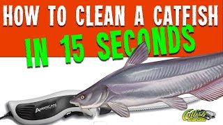 How To Clean A Catfish In 15 Seconds [upl. by Rob487]