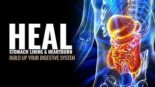 Build Up Your Digestive System  Heal Stomach Lining and Heartburn  Reset Your Gut Bacteria  528Hz [upl. by Ordnassela]