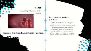 ONCOCAPSULAS  ONCOGENES Y GENES SUPRESORES DE TUMORES [upl. by Sirtimed141]