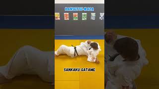 Judo ne waza techniques Katame waza [upl. by Aubree]