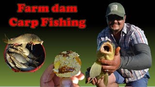 Farm Dam Carp Fishing [upl. by Ryley776]