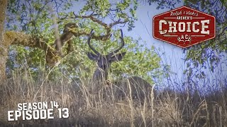 Blacktail Bucks in California  Archer’s Choice Full Episode  S14 Episode13 [upl. by Assenab]