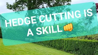 HOW I CUT A GRISELINIA HEDGE [upl. by Yuu]