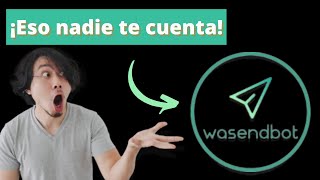 Wasendbot Wasendbot ¿Vale La Pena Wasendbot Review [upl. by Udell929]