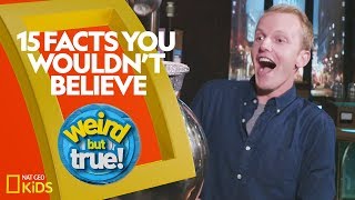 15 Facts You Wouldn’t Believe  Weirdest Bestest Truest [upl. by Brinn213]