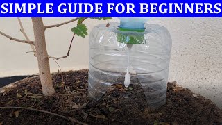 how to make plastic bottle drip water irrigation system for plants self watering system for plants [upl. by Ella]