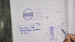 Endodermal germ layer derivatives [upl. by Currie]