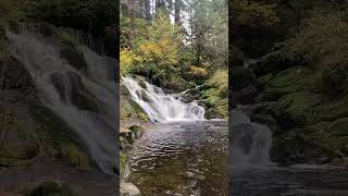 Beaver Creek Falls located near Mapleton Oregon [upl. by Hulbert]