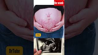 baby in 36 week in mother womb  baby in the womb 37 weeks development baby belly pregnancy [upl. by Benil]