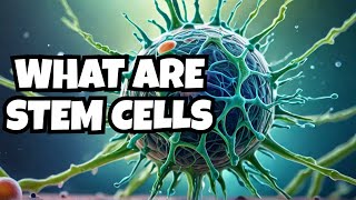 What are stem cells [upl. by Harwin]