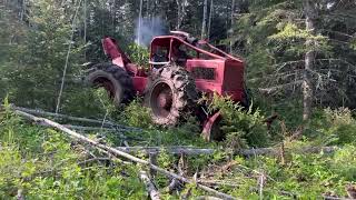 Timberjack 230 skidding logs [upl. by Suoicserp]