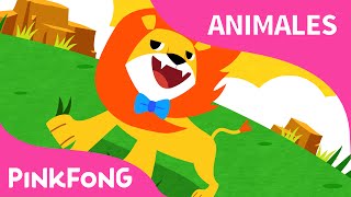 ¿Te Casas Conmigo  Animales  PINKFONG Canciones Infantiles [upl. by Tenn]