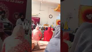 wahegurukirtant3b shahsatnamjigreenswelfare satnamshriwaheguru4300 🙏 subscribe [upl. by Thompson]