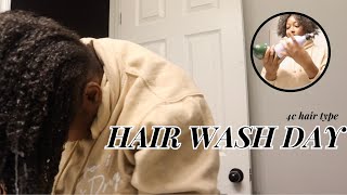 HAIR WASH DAY  DETOXING AND DETANGLING 4C hair  VLOGTOBER DAY 30 [upl. by Ida]