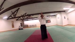 Aikido Rhône Alpes ARA Didier Allouis Shihan 7e Dan [upl. by Aeikan]