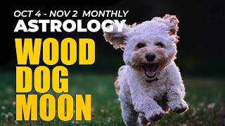 Monthly Astrology Oct 4  Nov 2 2024 The Wood Dog Moon [upl. by Heller]