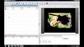 DTG Printer Training Video  Understanding And Optimizing RipPro C5 Viper [upl. by Uriah]