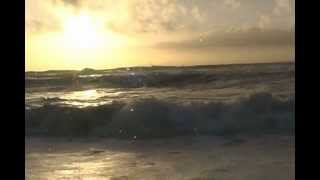 Santa Barbara County Parks Rancho Guadalupe Dunes Preserve [upl. by Malcolm933]